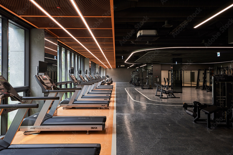 Gym at Fog Cielo, Igatpuri (artist&rsquo;s impression)